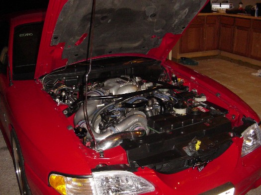 dsm support 97 ford mustang cobra supercharged svt